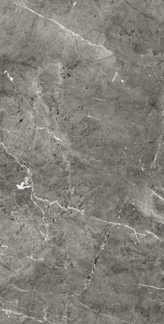 FP1028-A Florencia Grey Full Polished 60x120 Arcadia Ceramica