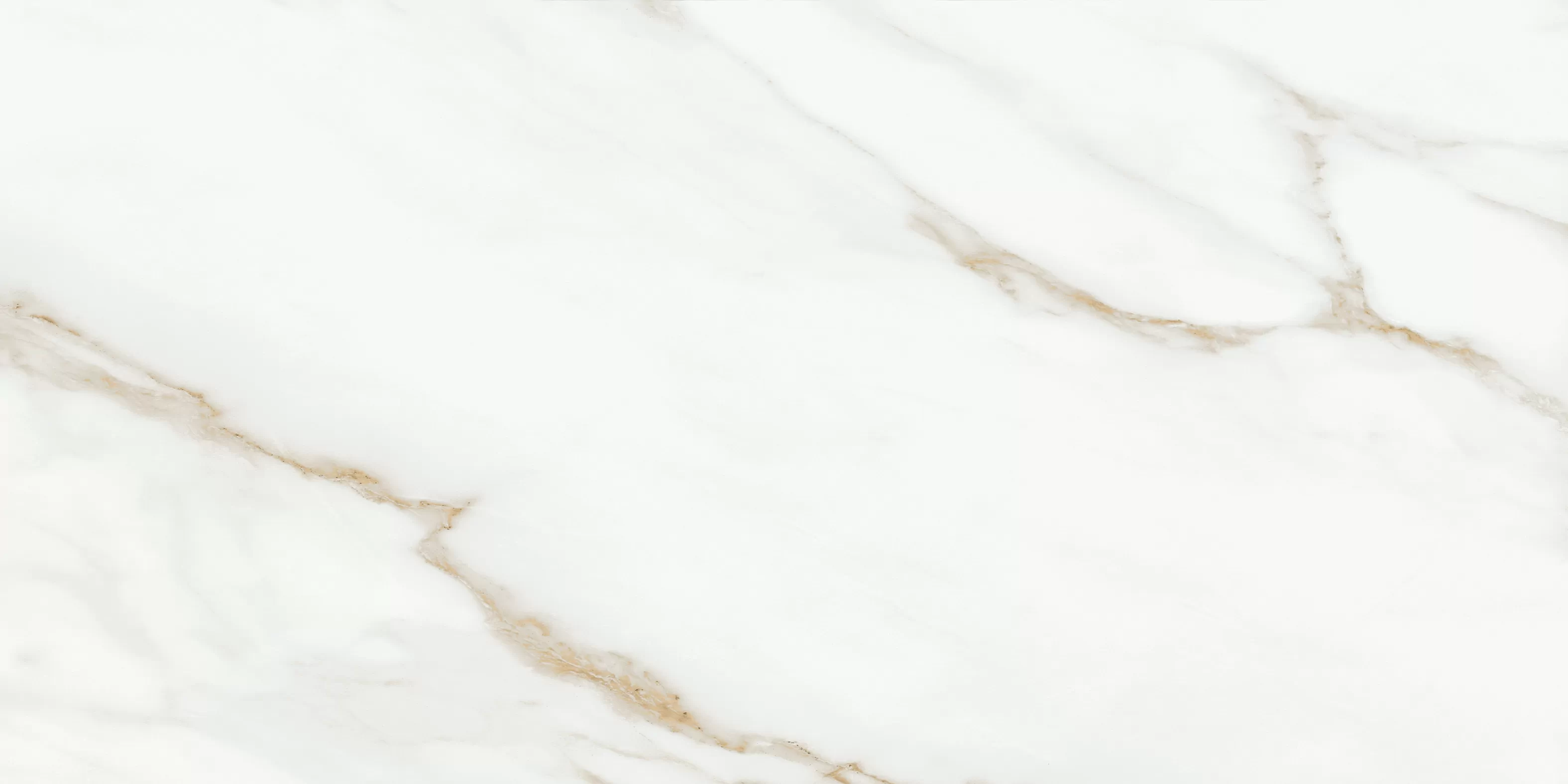 Oriental White 60x120 Bluezone фото 2