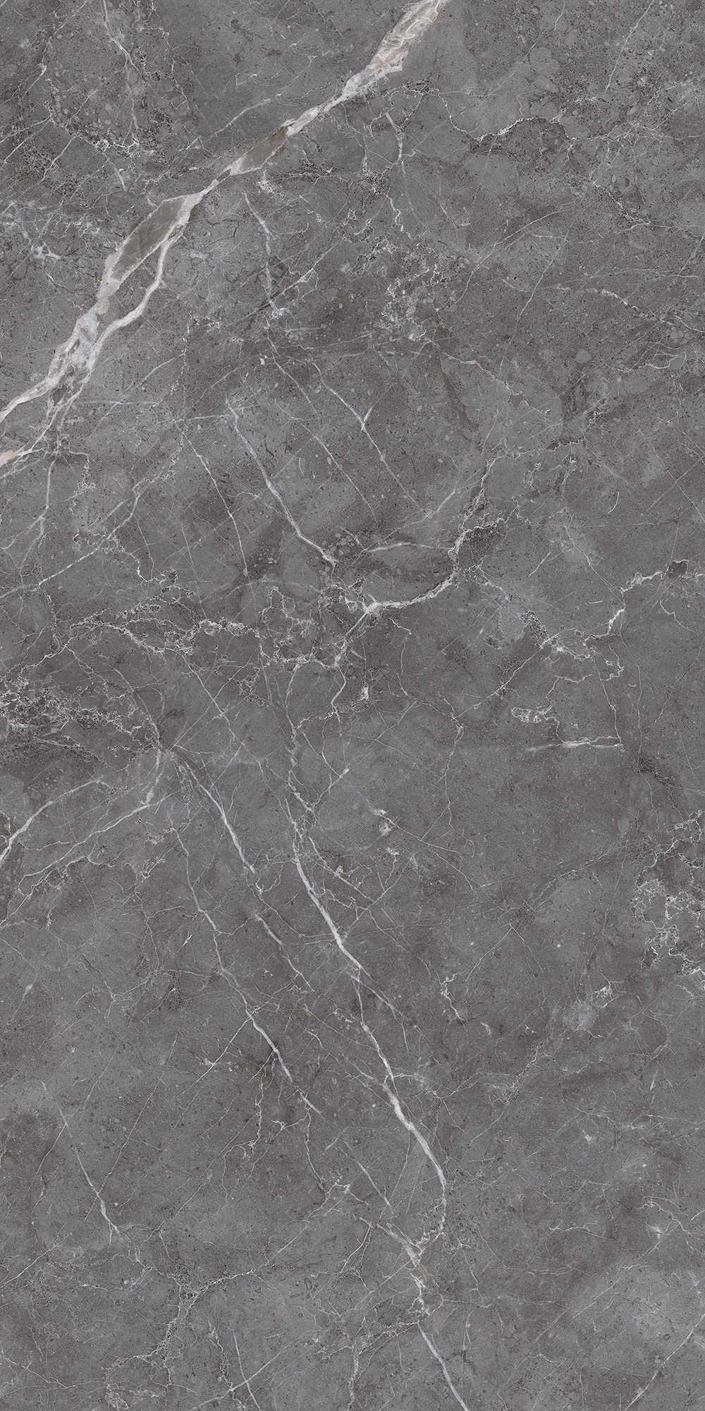 CL4003-A Esperia Grigio Carving Lappato 60x120 Arcadia Ceramica