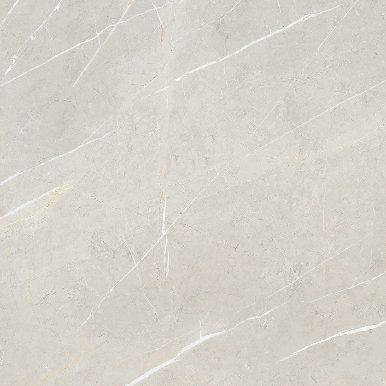 BB6NTT9101P Bright And Shiny 60x60 NT Ceramic