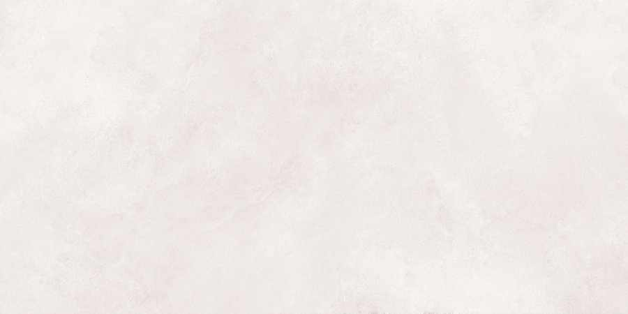 N20479 Newport White Matt 60x120 Neodom