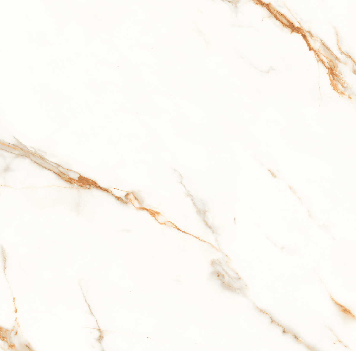 Venato Calacatta Gold белый сатинированный 60х60 Laparet