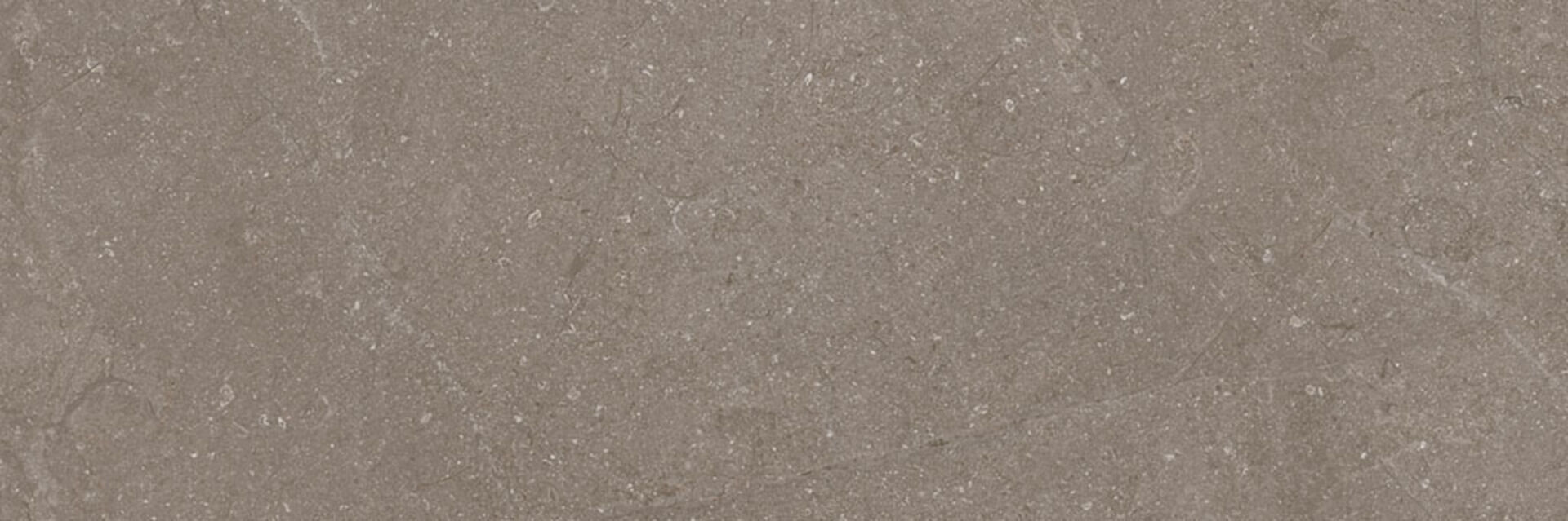 Next Taupe 40x120 El Molino