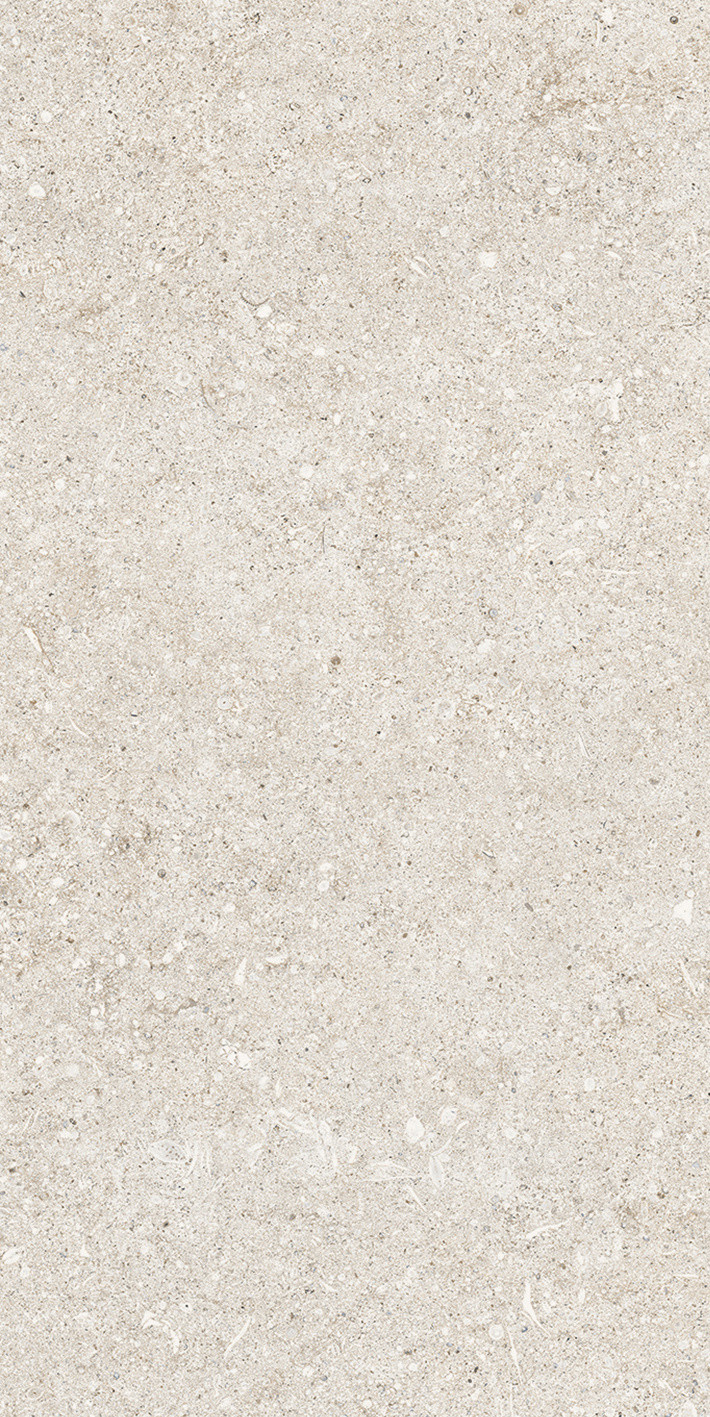 768332 Sensi White Fossil Ret 40x80 Casa Dolce Casa