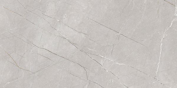 Larice Grey 60x120 Gravita