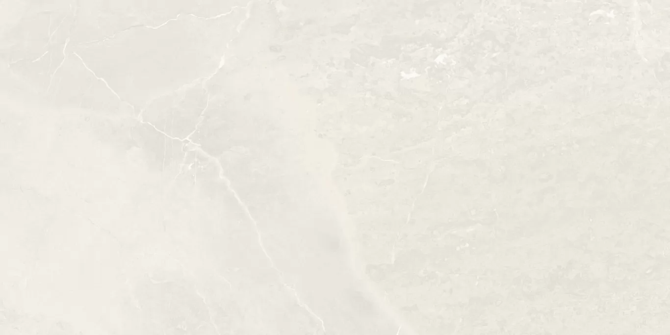 Soleste Bianco Rustic Carving 60x120 Colortile фото 2
