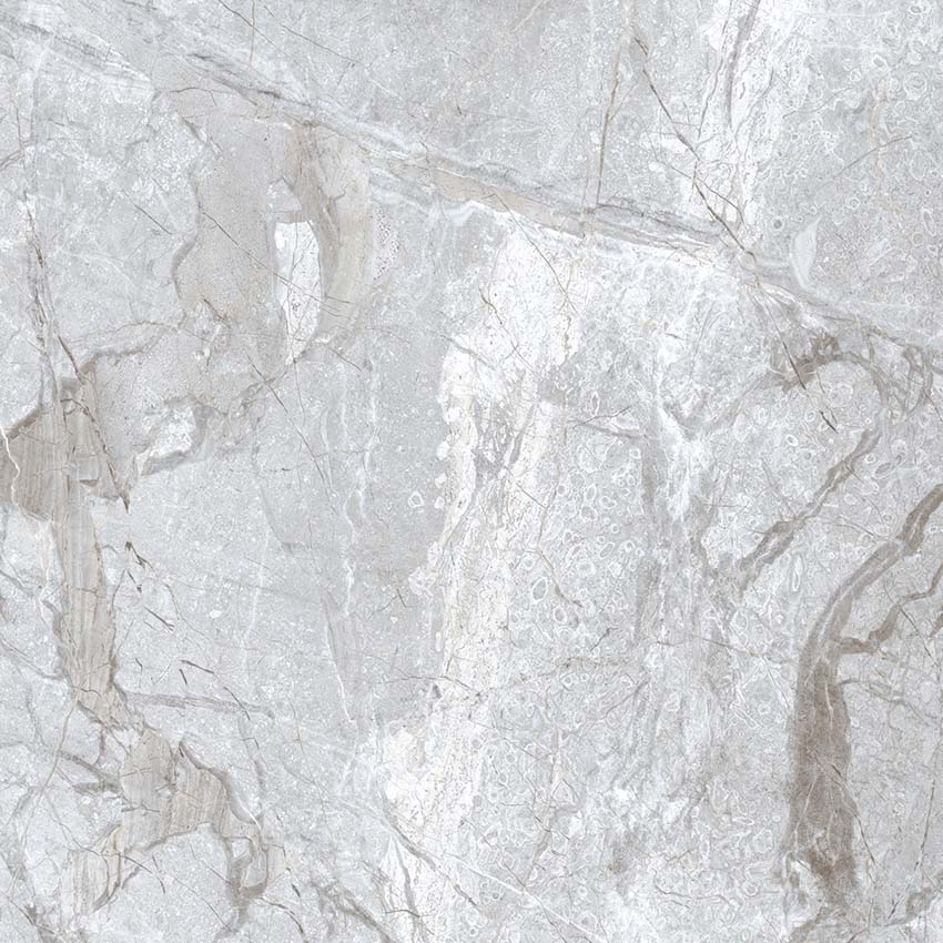 PR112 Lambert Bianco Polished 600x600 PrimaVera