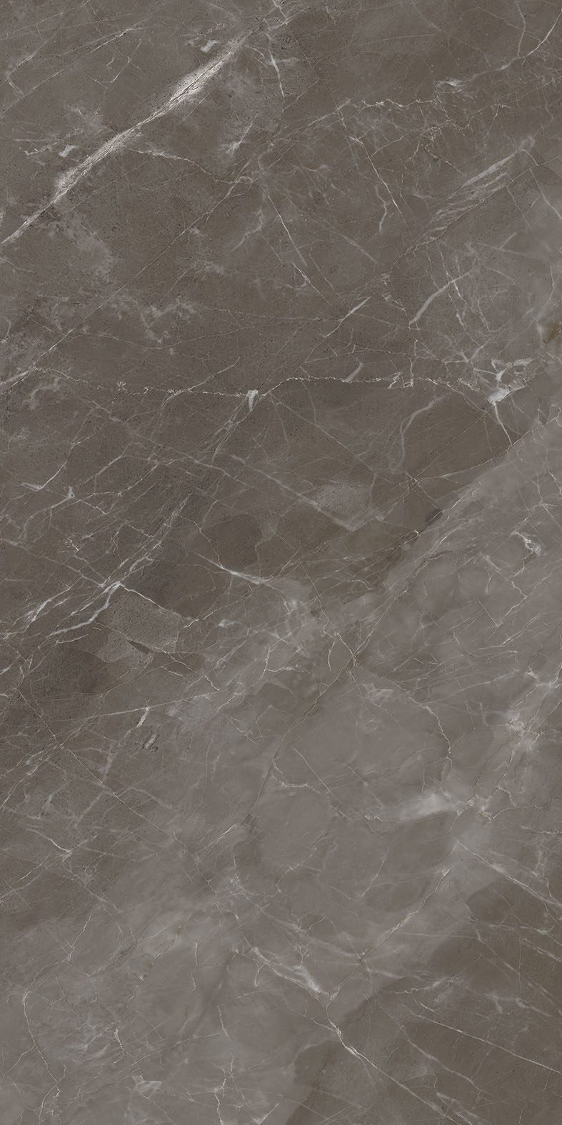 Craft French Grey Carving 60x120 BELLEZA фото 3