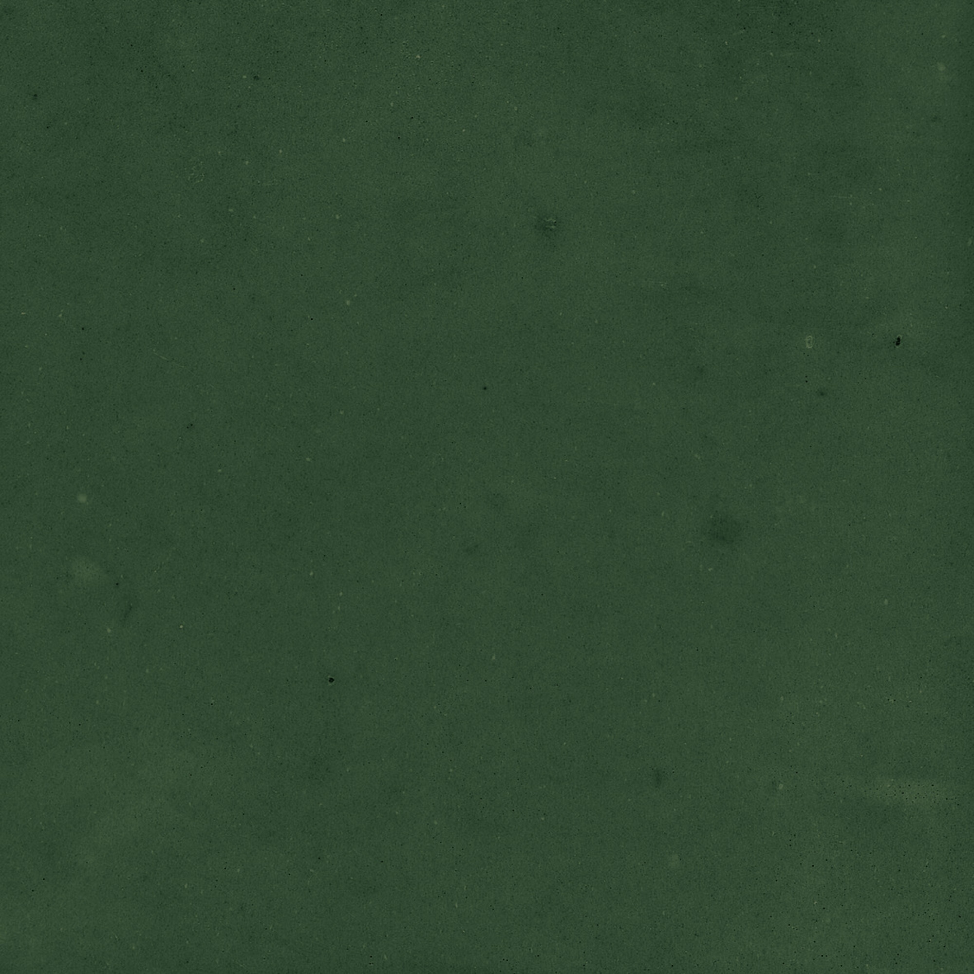 43289 Samira Green 10x10 Harmony фото 9