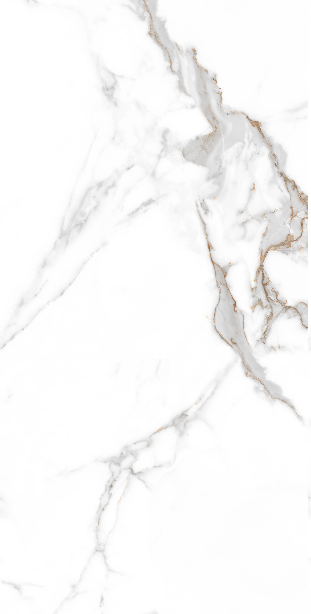 CP4001-A Statuario Seville Carving Pro 60x120 Arcadia Ceramica