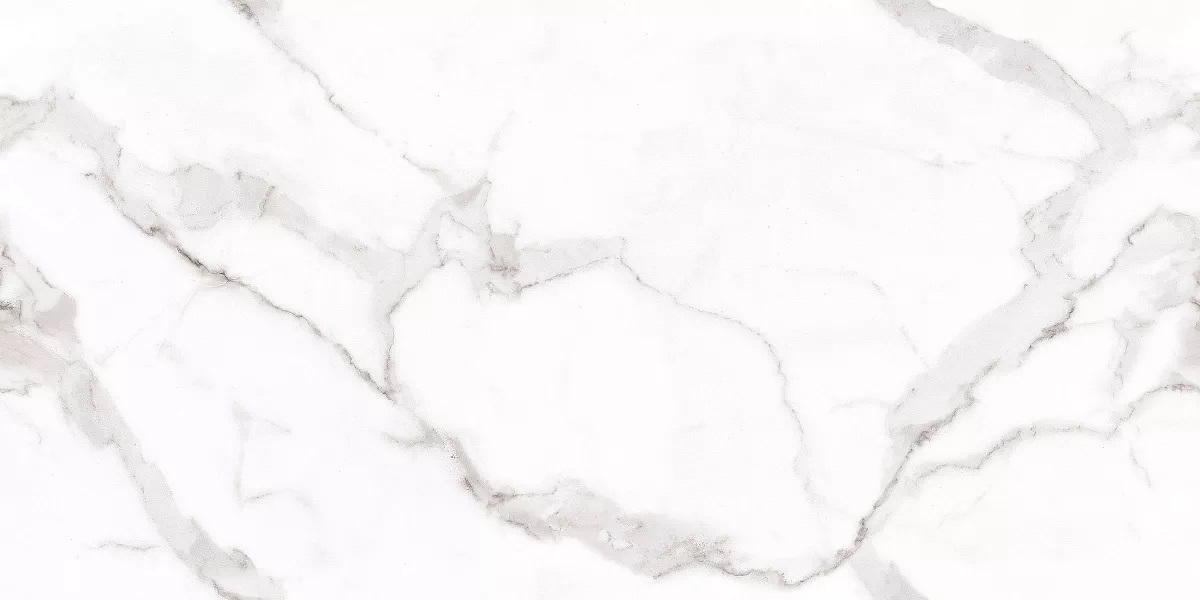 Venato Bianco Glossy 60x120 Art Ceramic