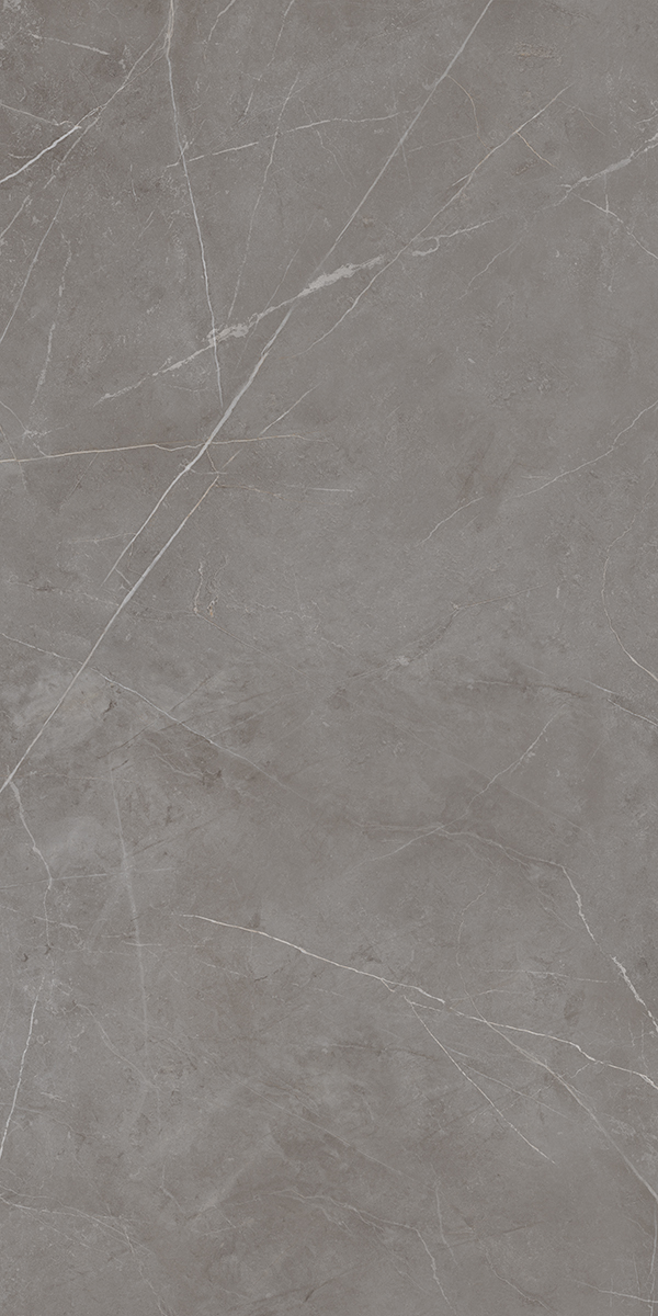 NL03 Nolana Dark Grey Неполированный Рект. 60x120x9 Estima фото 4