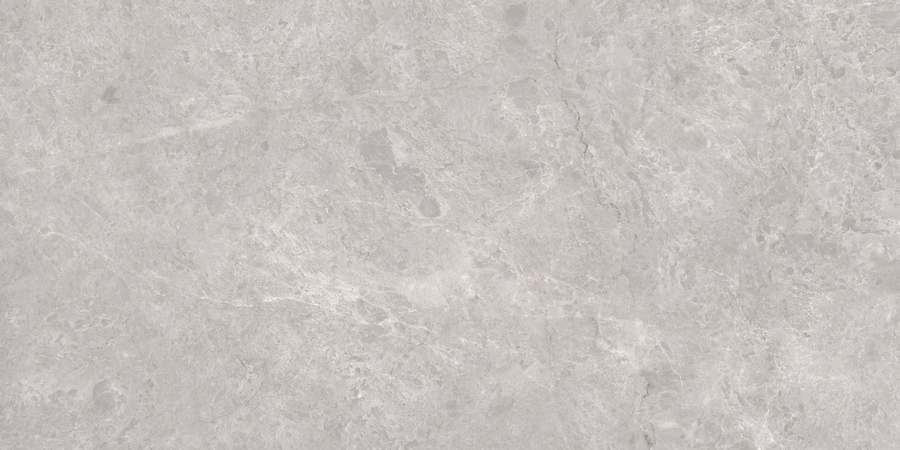 N20488 Tokyo Grey Polished 80x160 Neodom