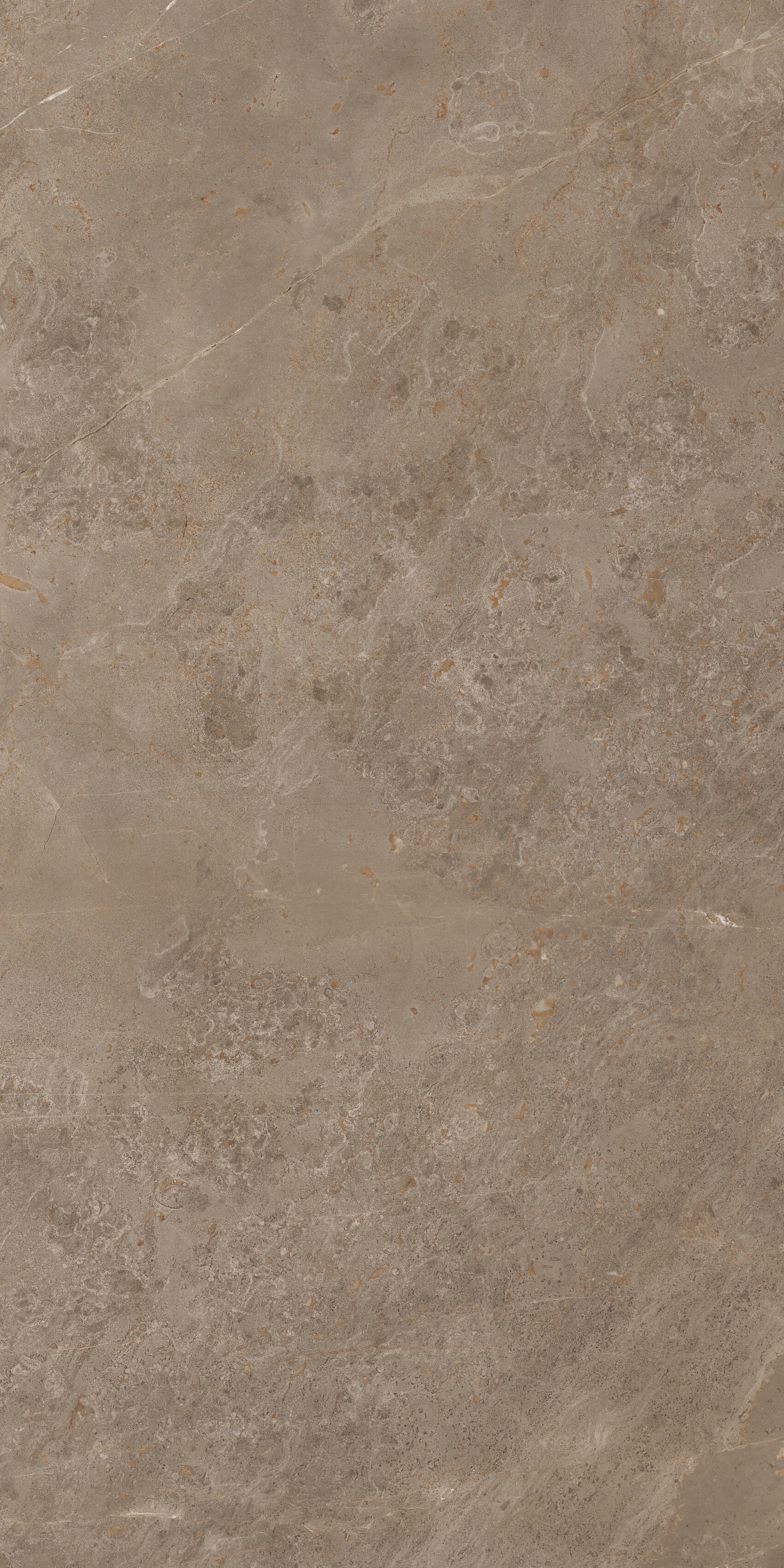 914 Luish Brown 120x60 Artcer