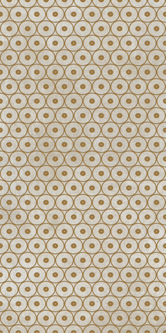 752601 Tesori Decoro Anelli Bianco Oro 6mm 120x240 Cedit
