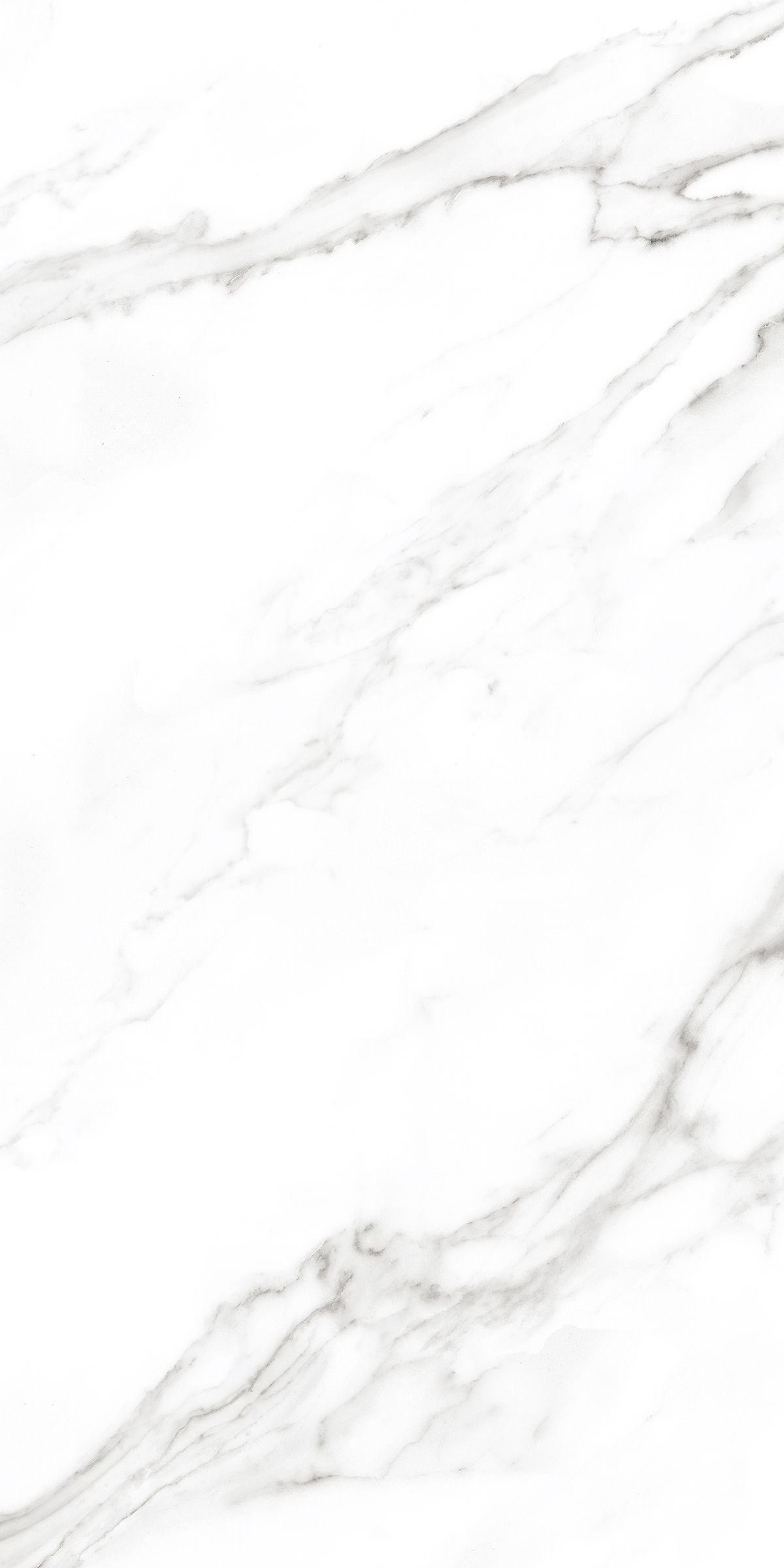 083063 Statuario Lap Ret 60x120 Ava Ceramica