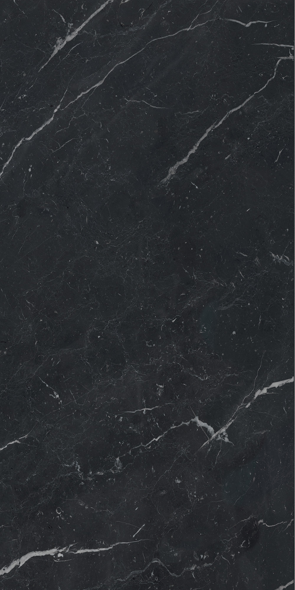 AGB7 Unique Black Luc 60x120 Caesar фото 6