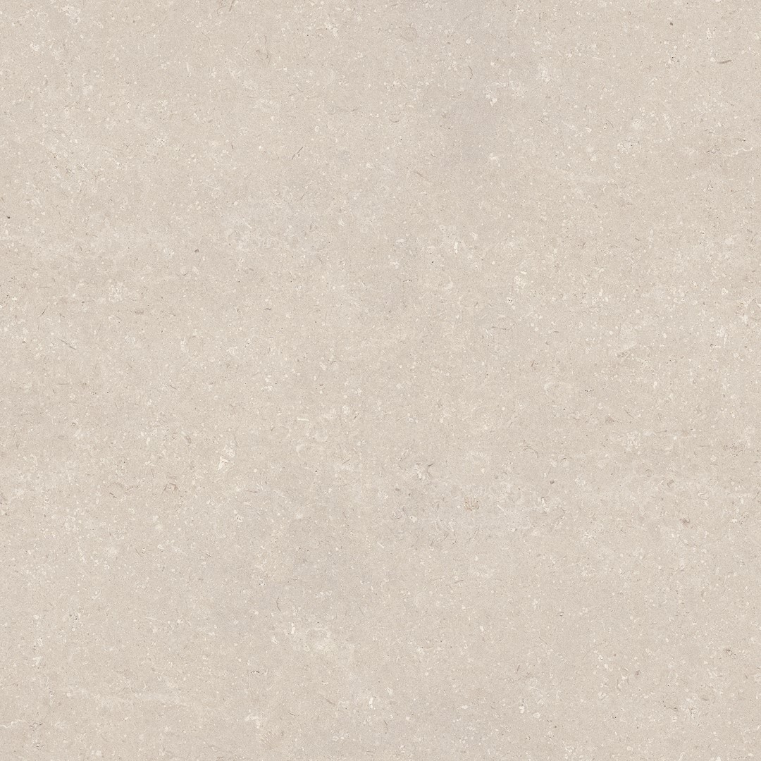 100330176 Coral Caliza L 120x120 Porcelanosa фото 5