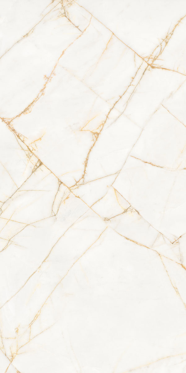 PF60017518 Supreme Hedonism Golden Spider Nat R 60x120 Flaviker