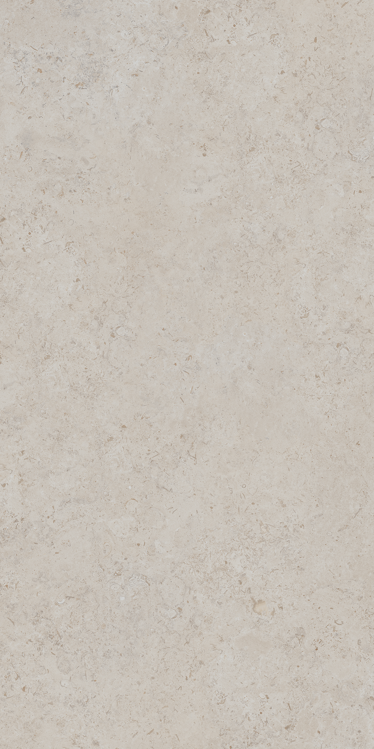 DD590400R Про Лаймстоун АТ бежевый натуральный обрезной R10 119,5х238,5 Kerama Marazzi