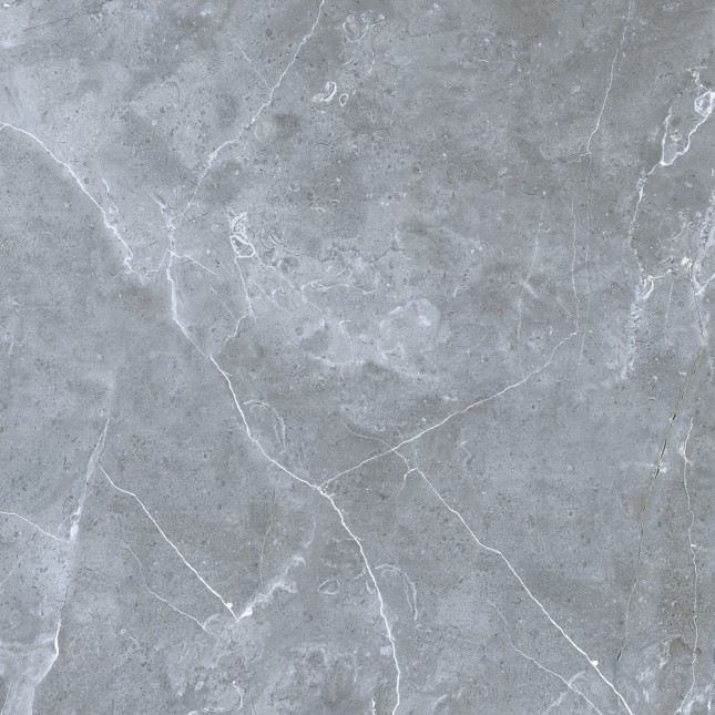 GRS02-16 Petra Northern Silver 60x60 Gresse