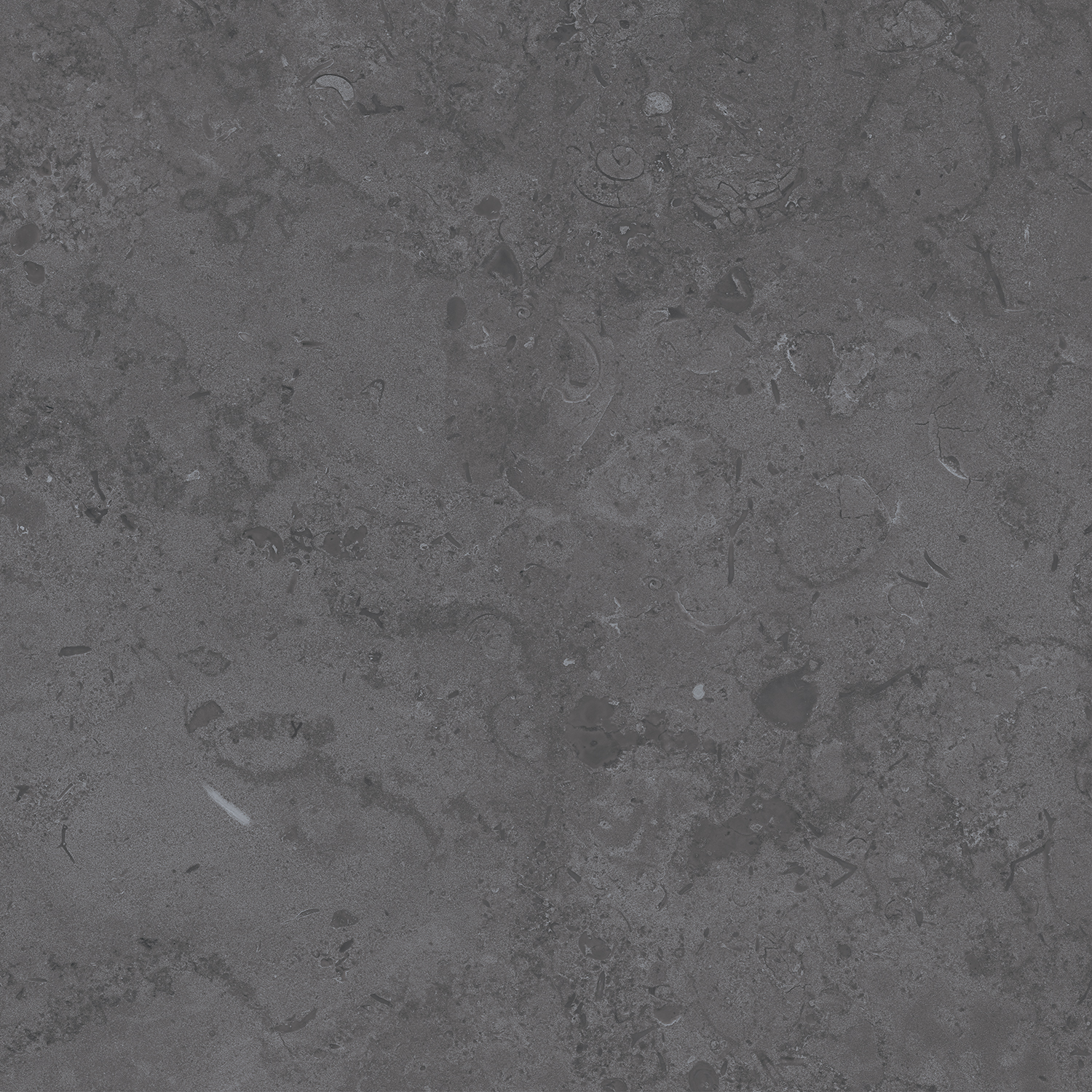 DD640800R Про Лаймстоун серый темный натуральный обрезной R10 60х60 Kerama Marazzi