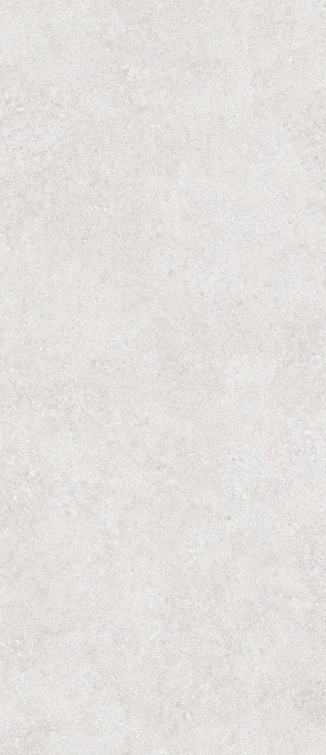 Onega Silver Xylotech Matt 2780х1200х6 StaroSlabs