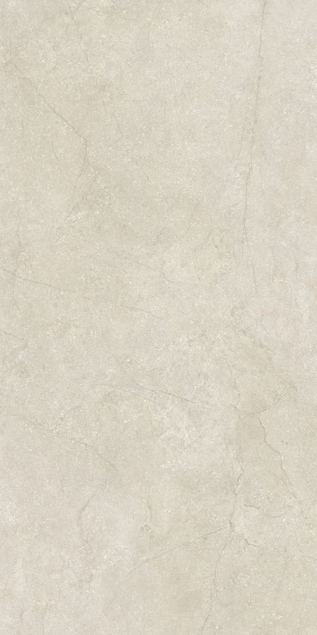 778710 Stone Life Shell Matte Ret 6mm 120x240 Cerim