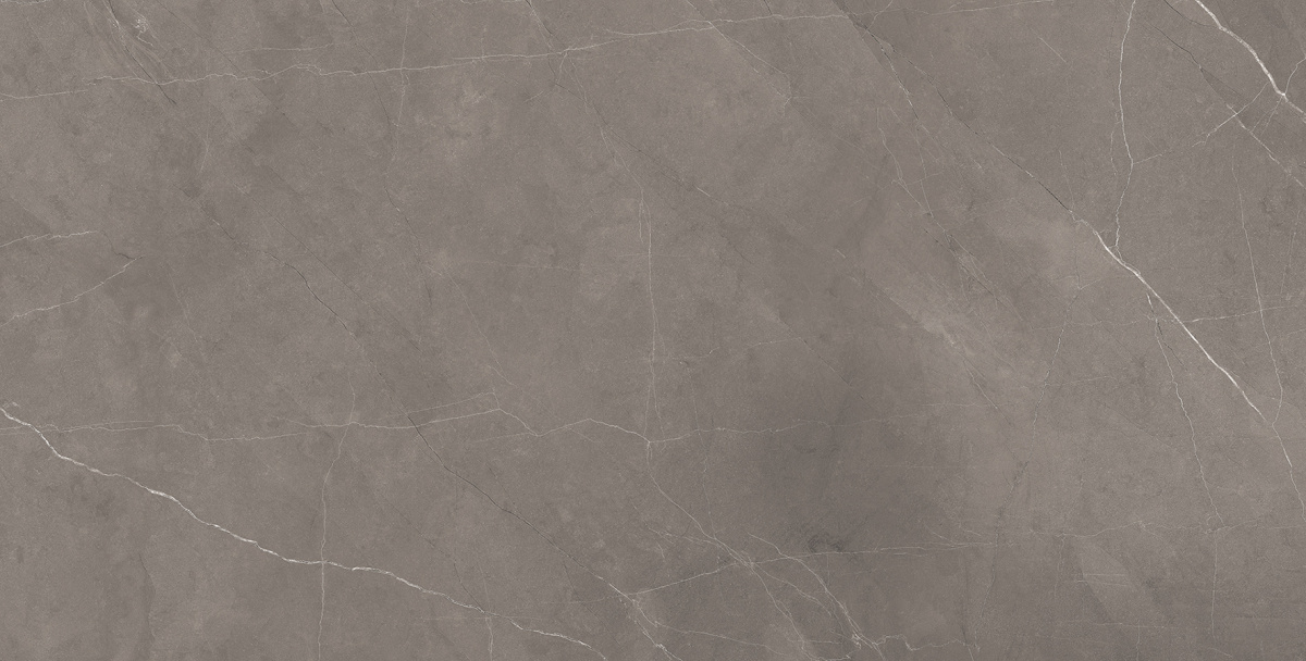 Splash Grey серый 60х120 Laparet