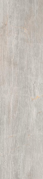 1067945 Fossil Lines Perla Ret 30x120 Serenissima Cir