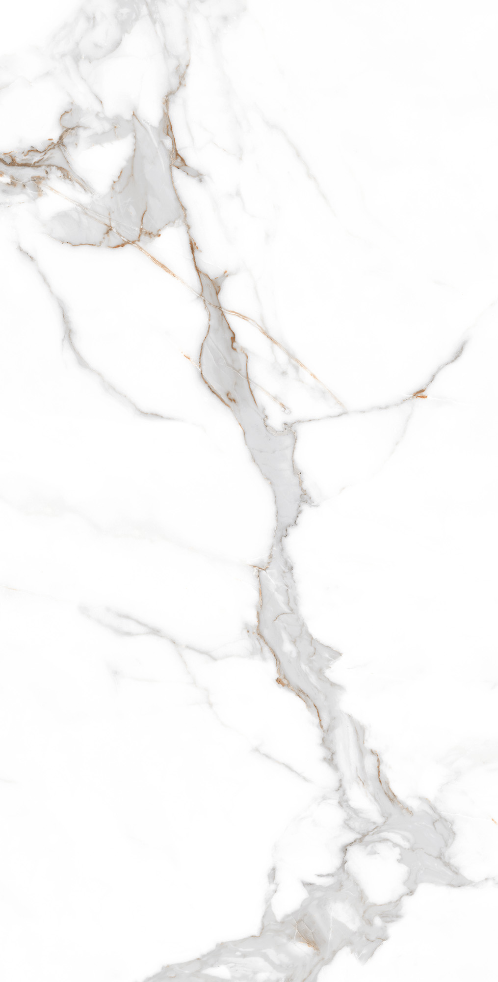 CP4001-A Statuario Seville Carving Pro 60x120 Arcadia Ceramica