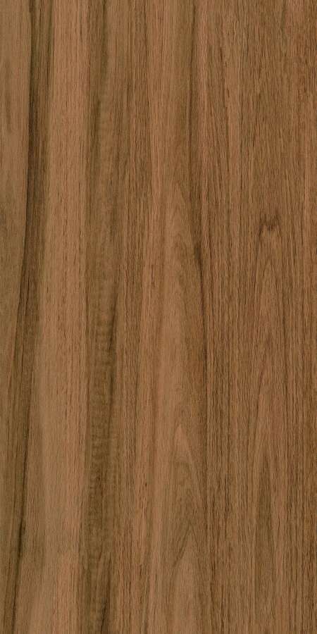 Greenwood Elite Matt 60x120 Bonaparte
