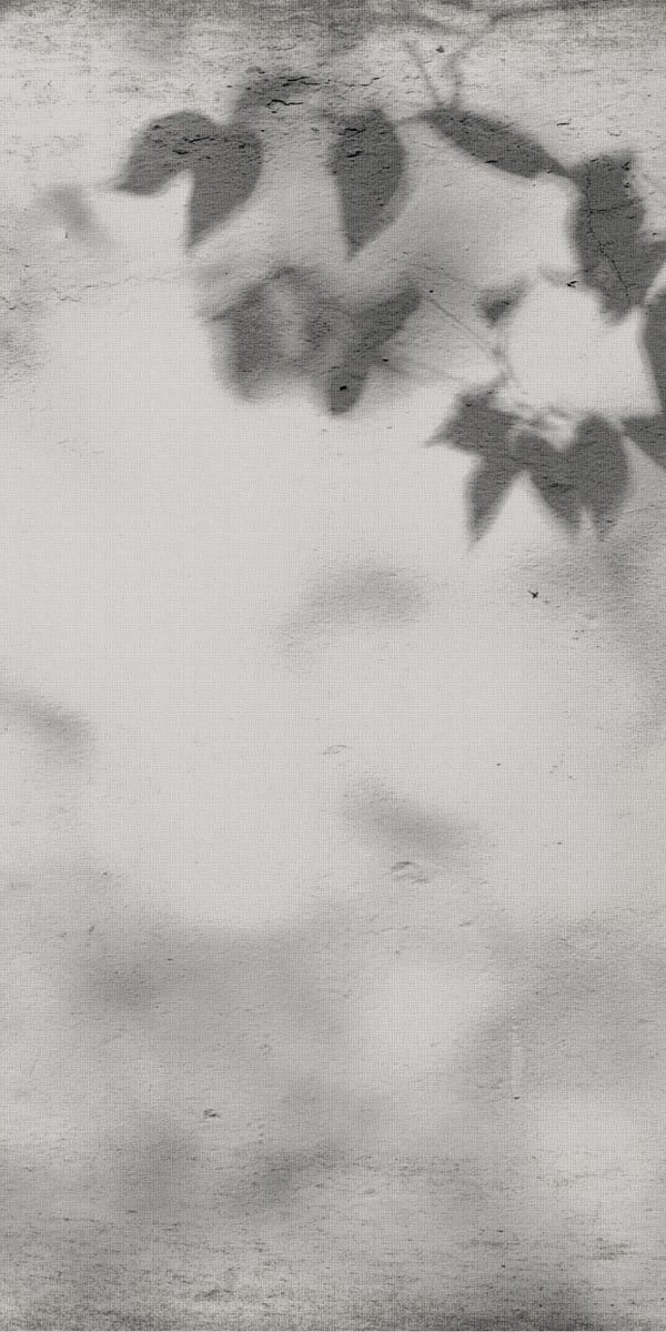 PF60012582 Art Walls Shadow Nat R 60x120 Flaviker