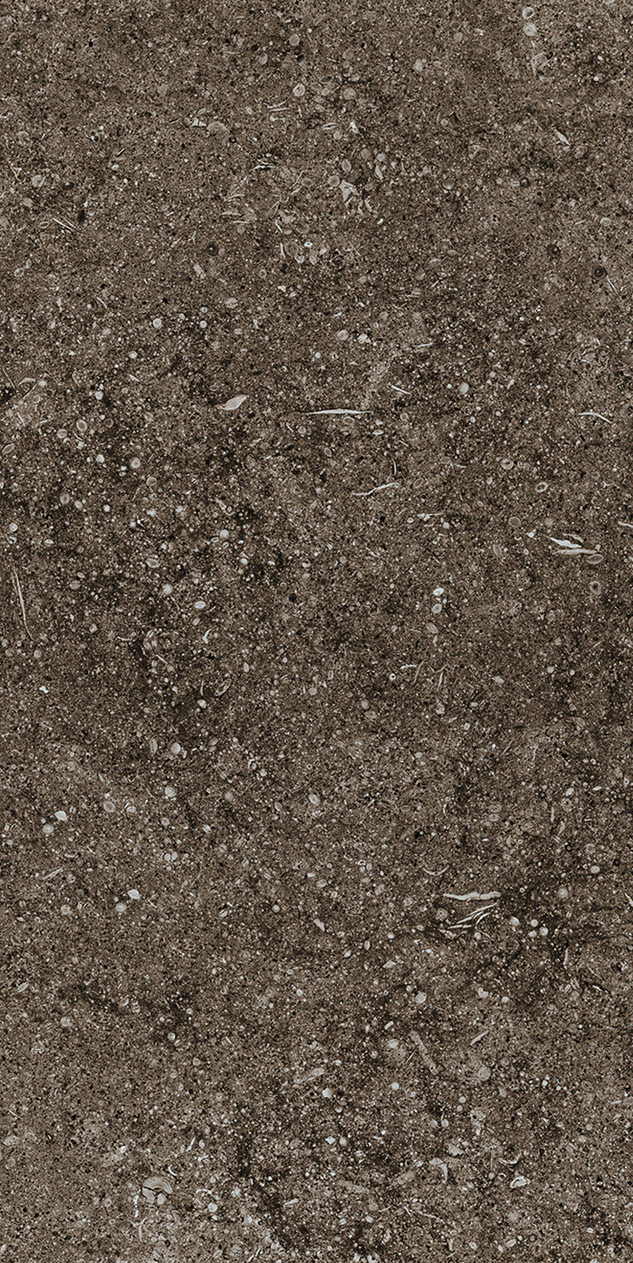 768354 Sensi Brown Fossil R+PTV Ret 40x80 Casa Dolce Casa