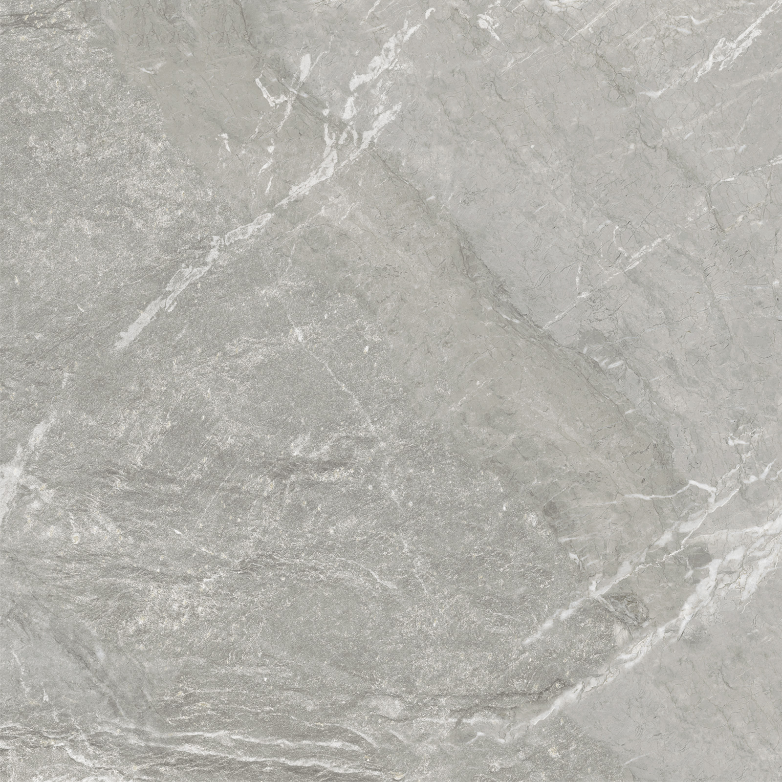 D60259M Wild Light матовый 600x600x9.5 New Trend