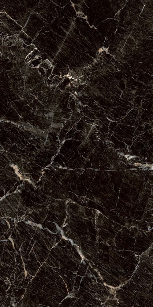 PGT1206010105MGR Zebrano Черный 60x120 Premium GT
