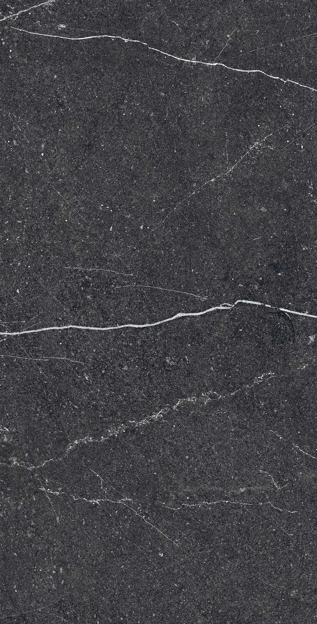 RG6003-A Equistone Charcoal Rotto Glossy Ink 60x120 Arcadia Ceramica