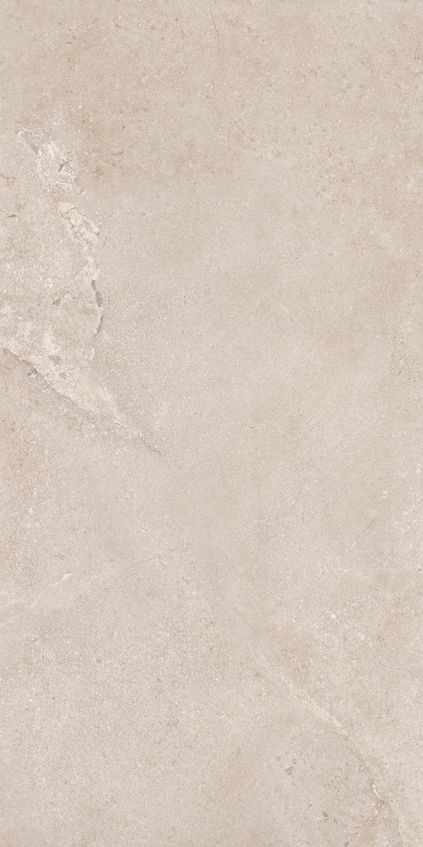 DNWS201 New Stone Daino 60x120 Dado Ceramica