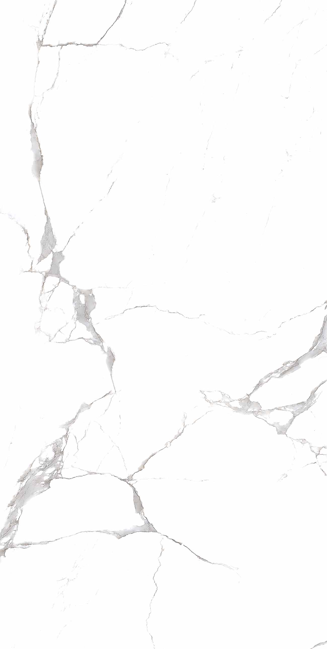 Emmy White polished 60x120 Realistik