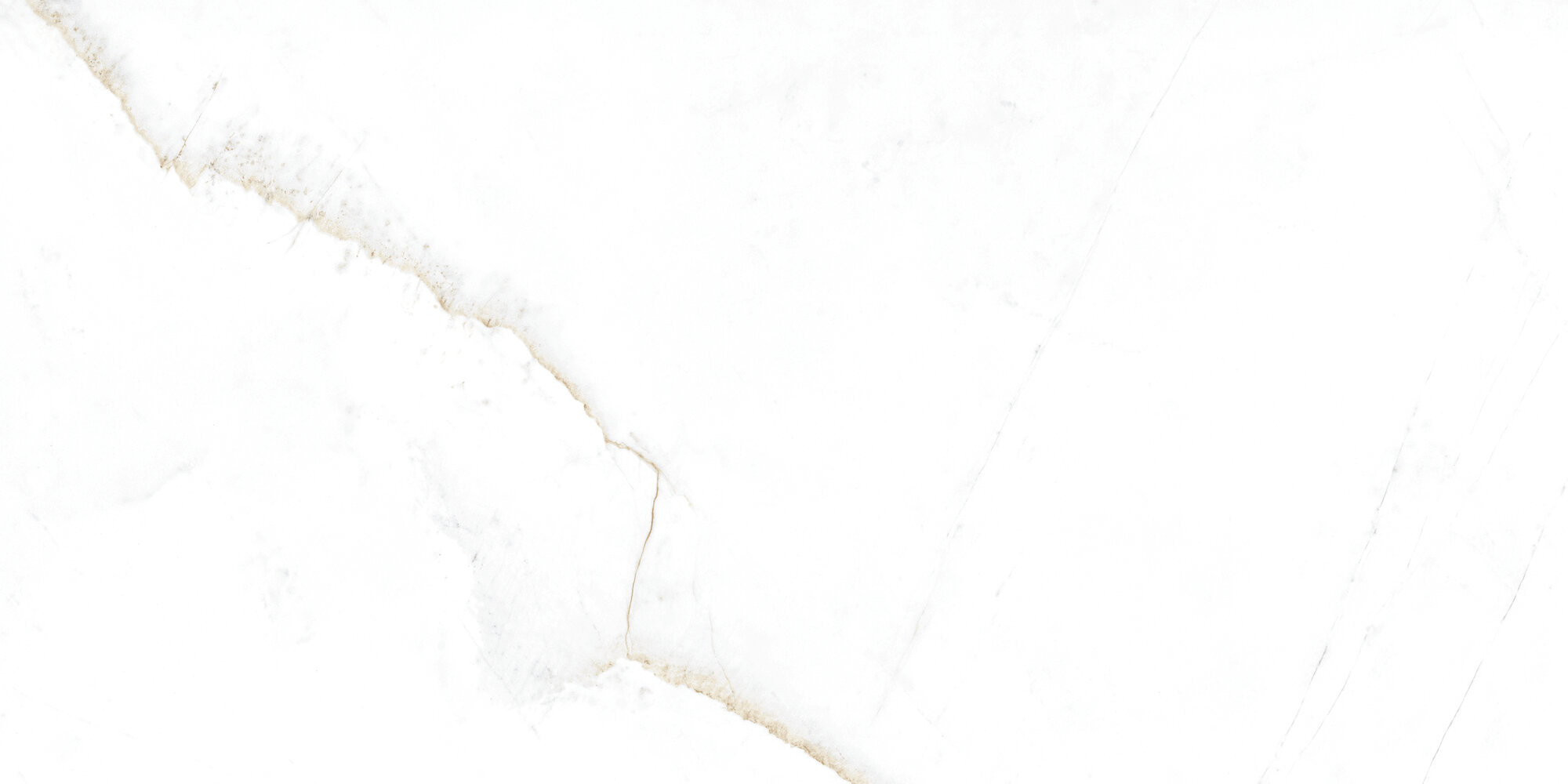 31741 Dual White EP 60x120 Peronda фото 5