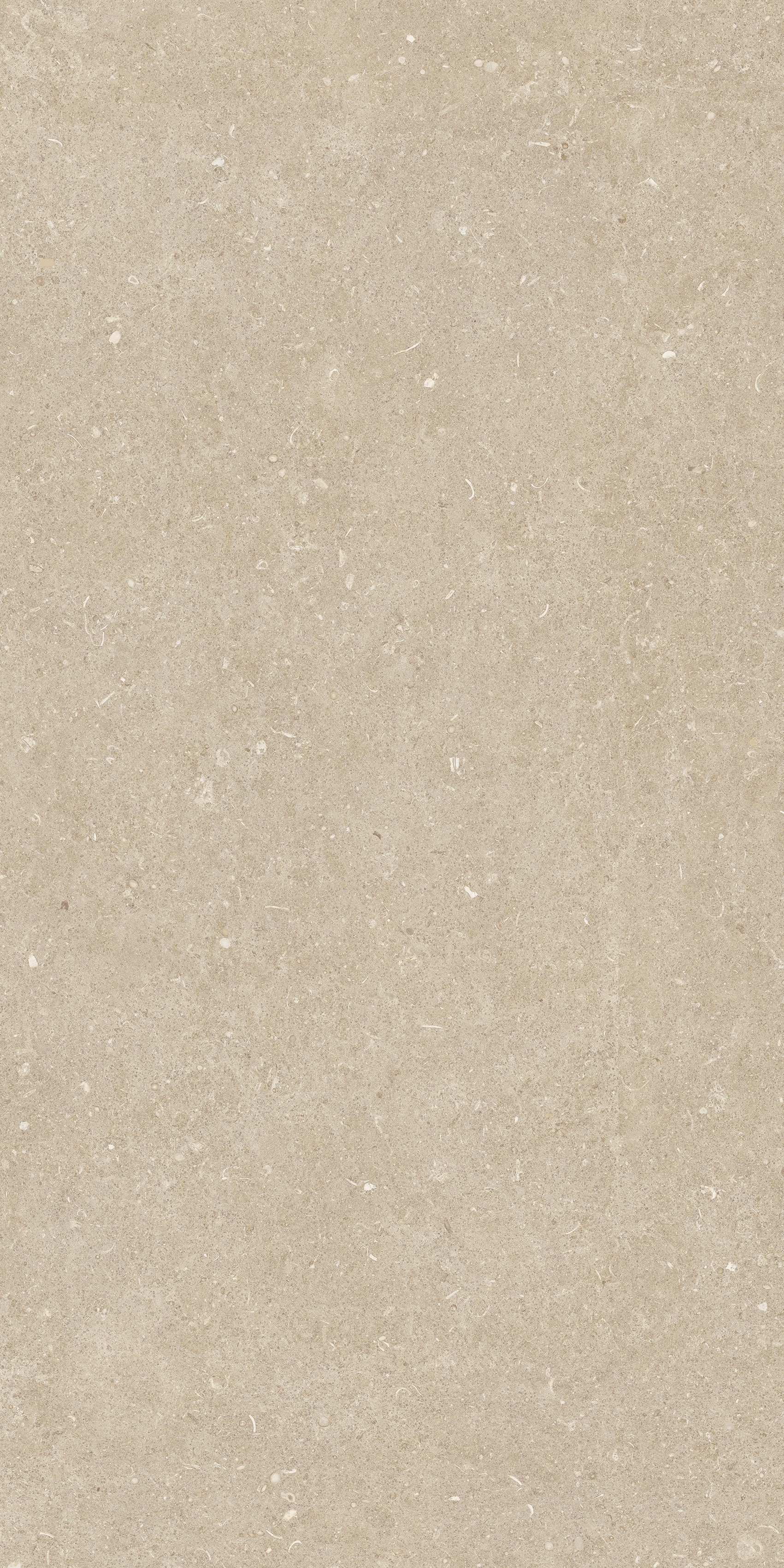 785493 Rinascenza Arena Conchiglia Grip 60x120 Casa Dolce Casa фото 8