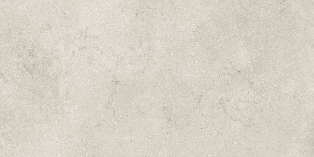 N12049 Eden Light Satin 60x120 Neodom
