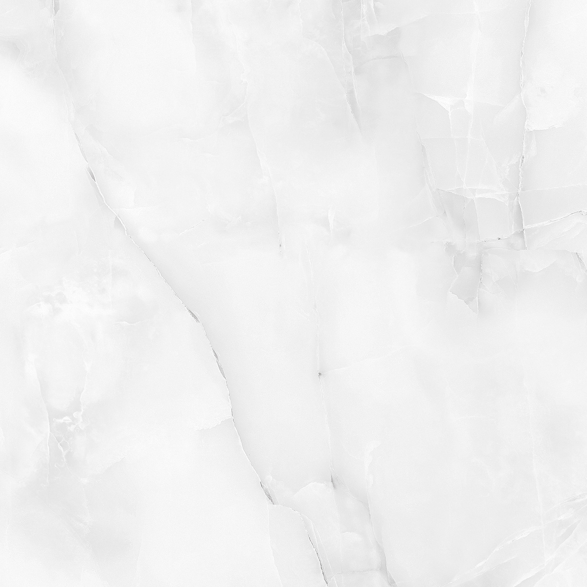 FP1023-A Anty Sky Grey Full Polished 60x60 Arcadia Ceramica