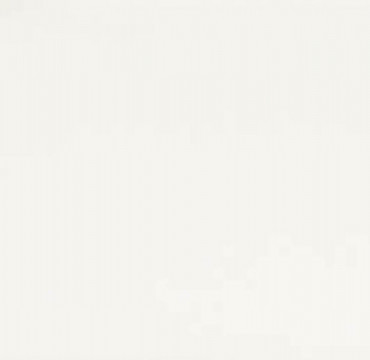 CLS010 COLORS LINE WHITE 31x31 Ascot