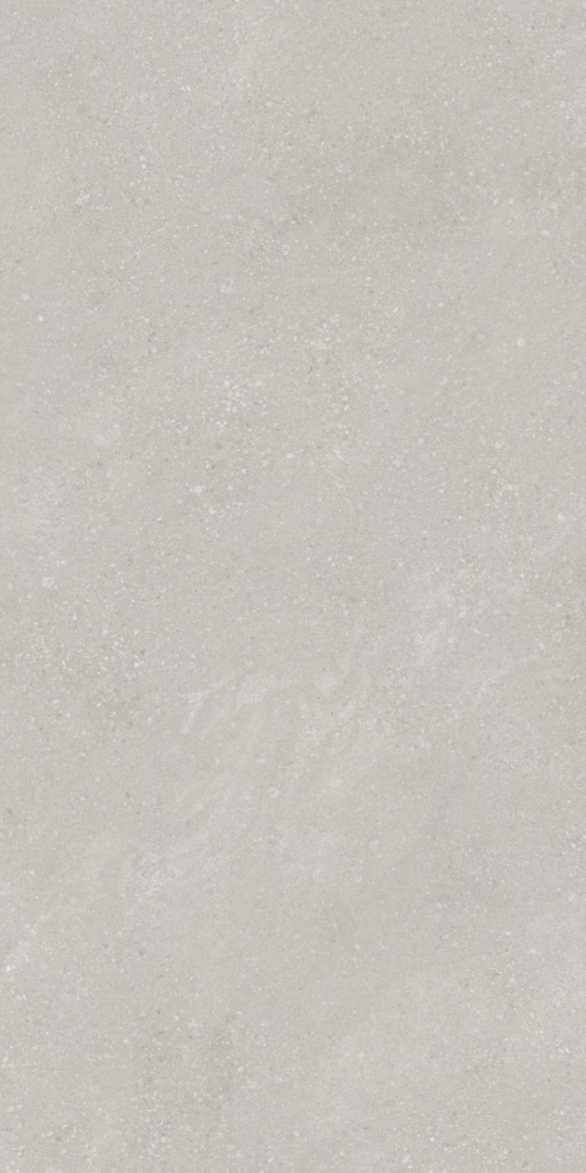 PT12F7048 Pietra Light Grey Matt 1200х600х9 Protiles