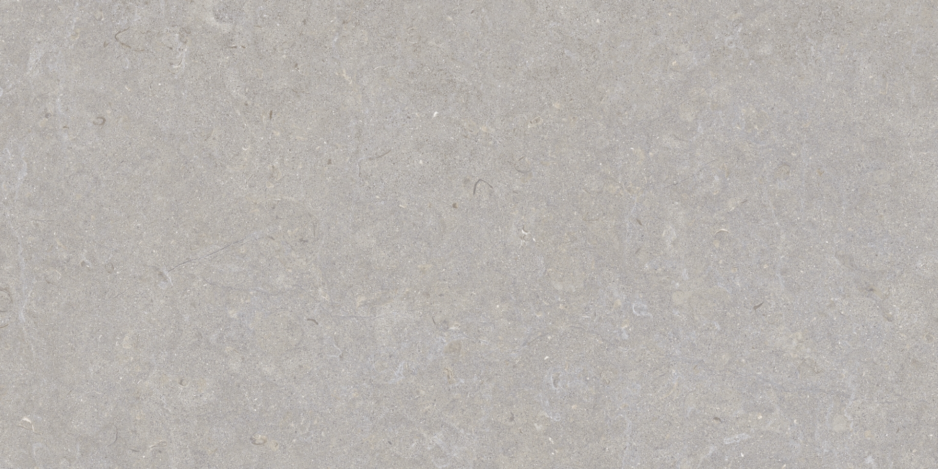 35568 Ghent Grey/50X100X2/A/R 50x100 Peronda фото 3