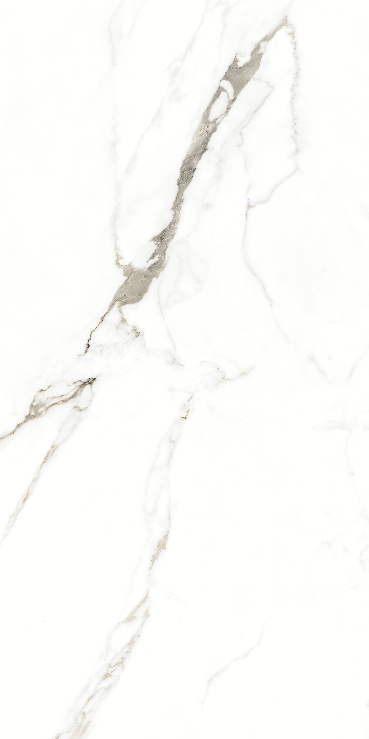 893 Fantastic White 120x60 Artcer