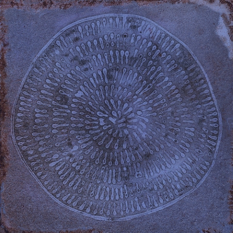 Carlo Marino-B 20x20 VIVES