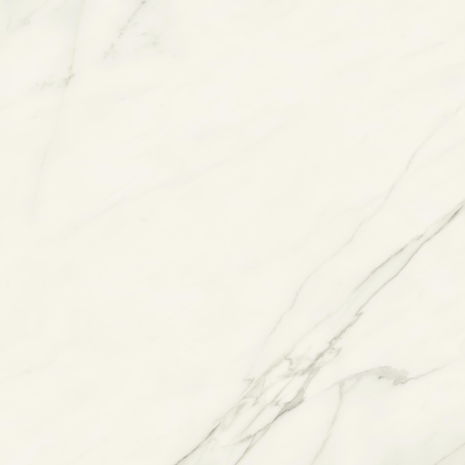 AJII Marvel Meraviglia Calacatta Meraviglia Velvet 120x120 Atlas Concorde