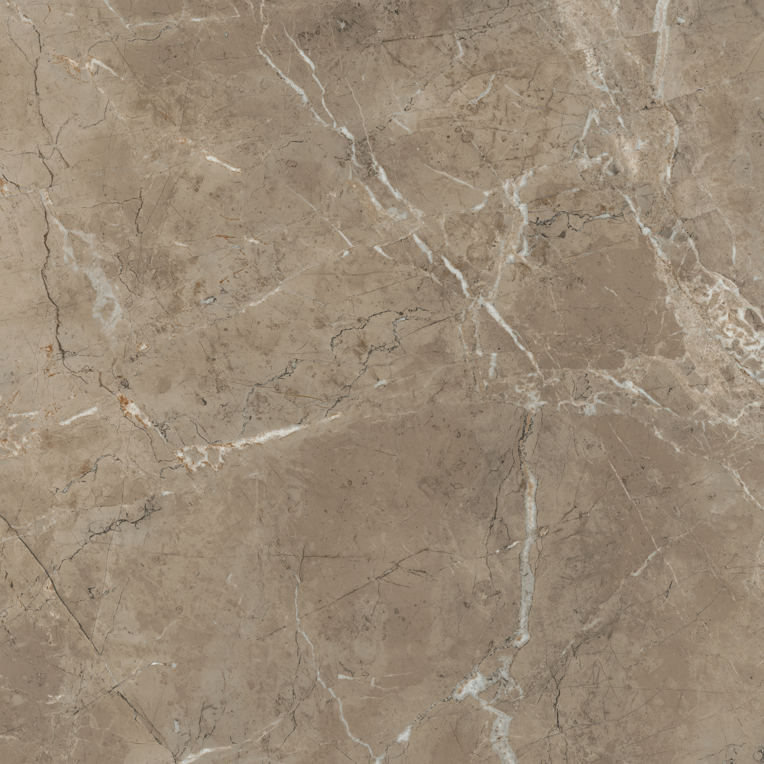SG654122R Серенада бежевый тёмный лаппатированный обрезной 60x60 Kerama Marazzi фото 6